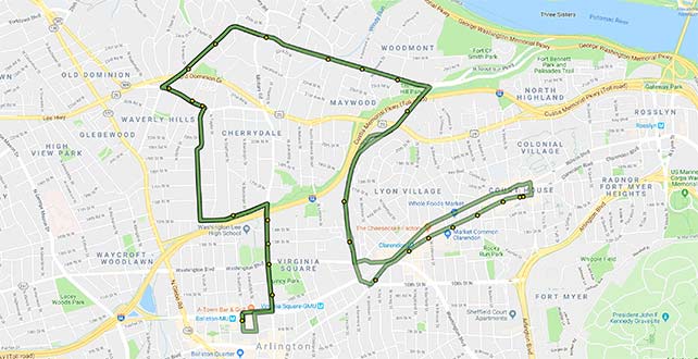 Arlington Bus Routes Map Art - Arlington Transit
